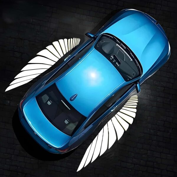 car wings